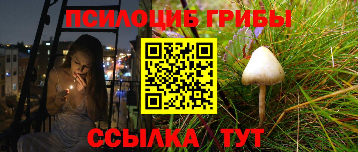 Дубна  Галлюциногенные грибы мухоморы  Вход с VPN 