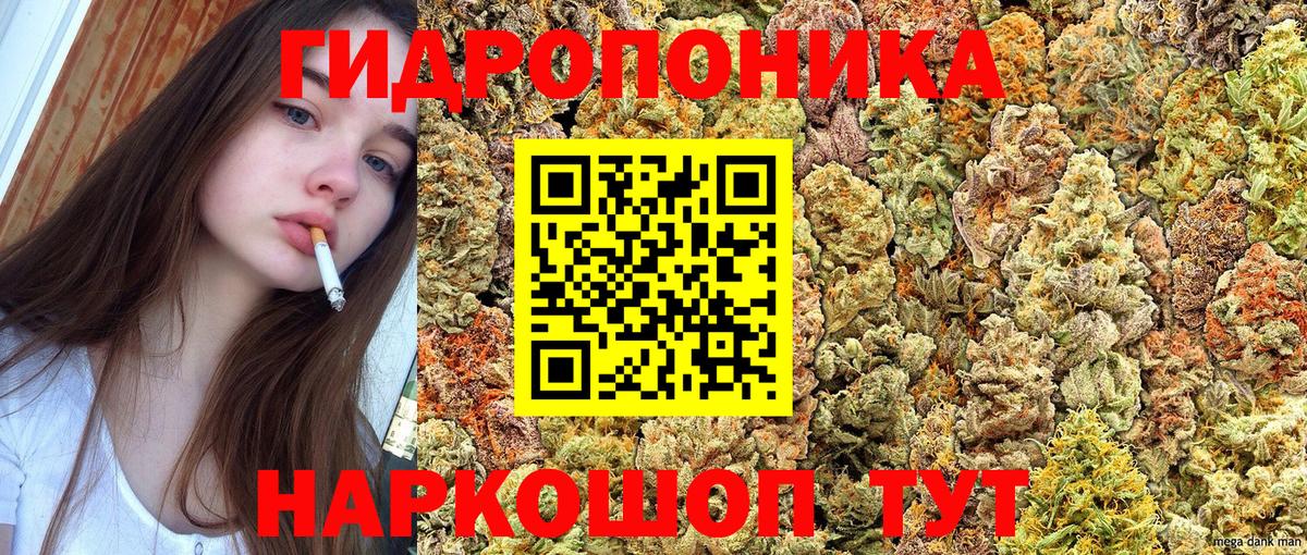 Бошки марихуана OG Kush Дубна